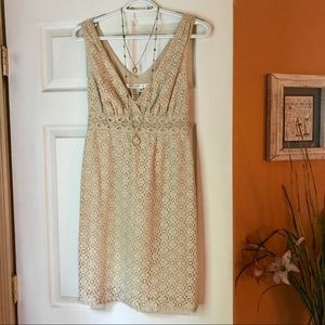 Max Studio Nude Dress